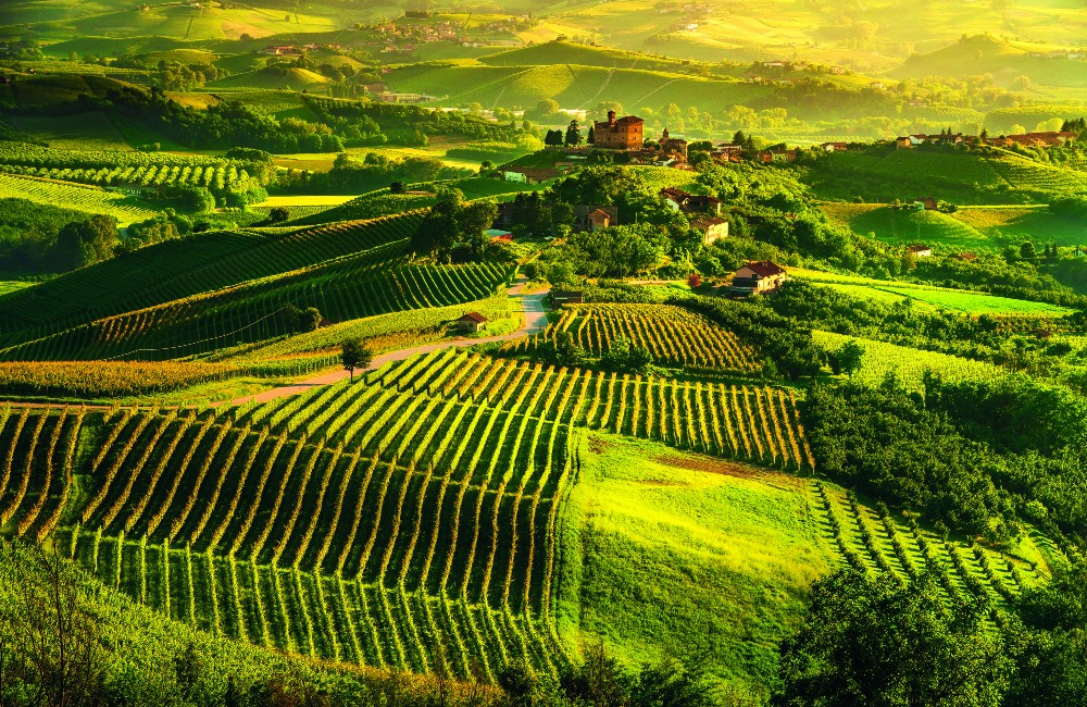 Langhe Roero Monferrato meta mondiale del “bleisure”