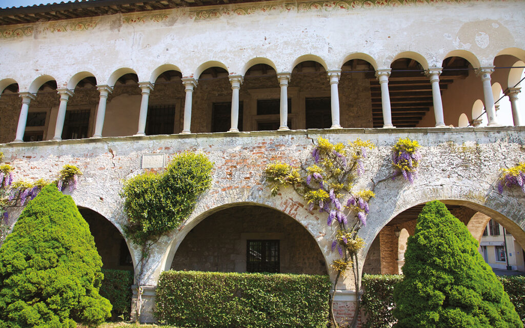 colline del prosecco di Conegliano