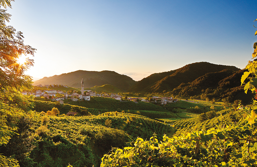 colline del prosecco Conegliano