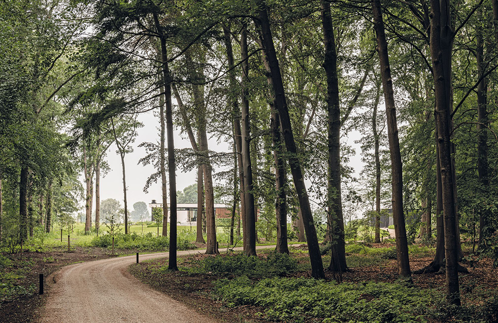 Una villa in vetro cattura la natura