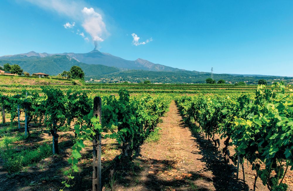 Caccia al casale con vigna sull'Etna