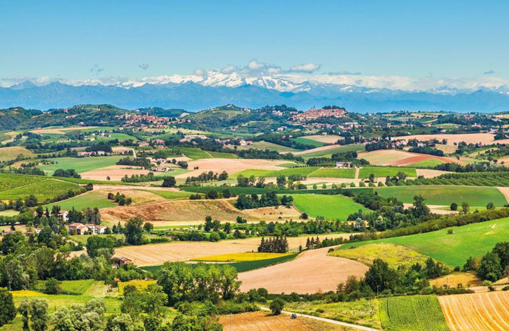 Panoramica delle colline del Monferrato