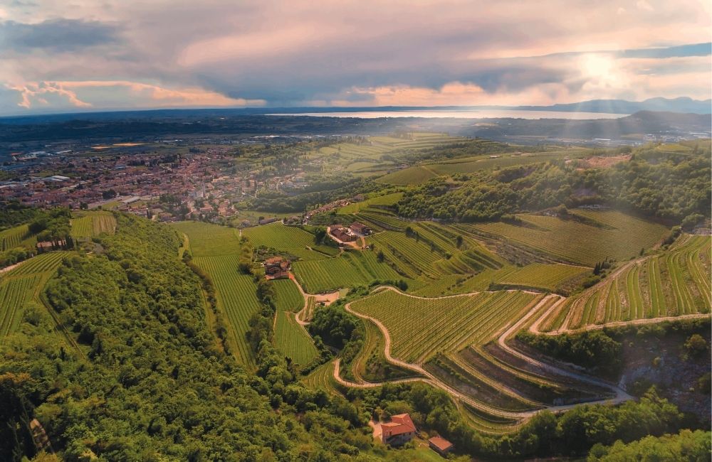 Valpolicella, non solo grandi vini