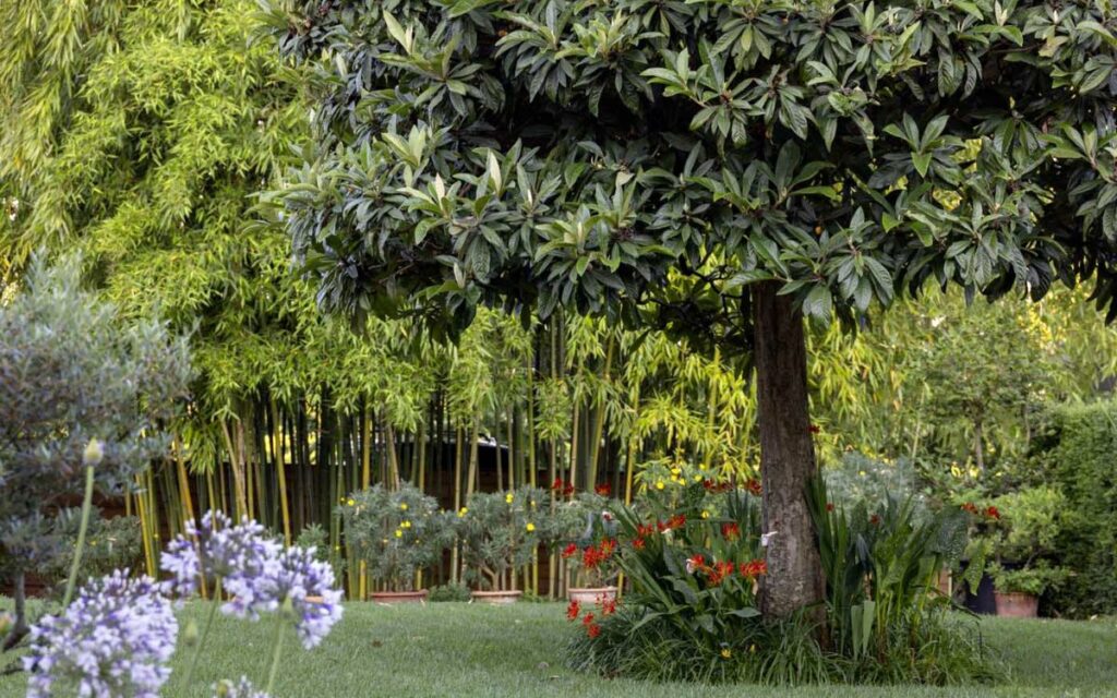 Un casale circondato da un giardino fiorito: un’oasi di serenità che trabocca di bellezza per 12 mesi all’anno