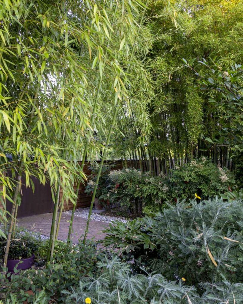 Un casale circondato da un giardino fiorito: un’oasi di serenità che trabocca di bellezza per 12 mesi all’anno