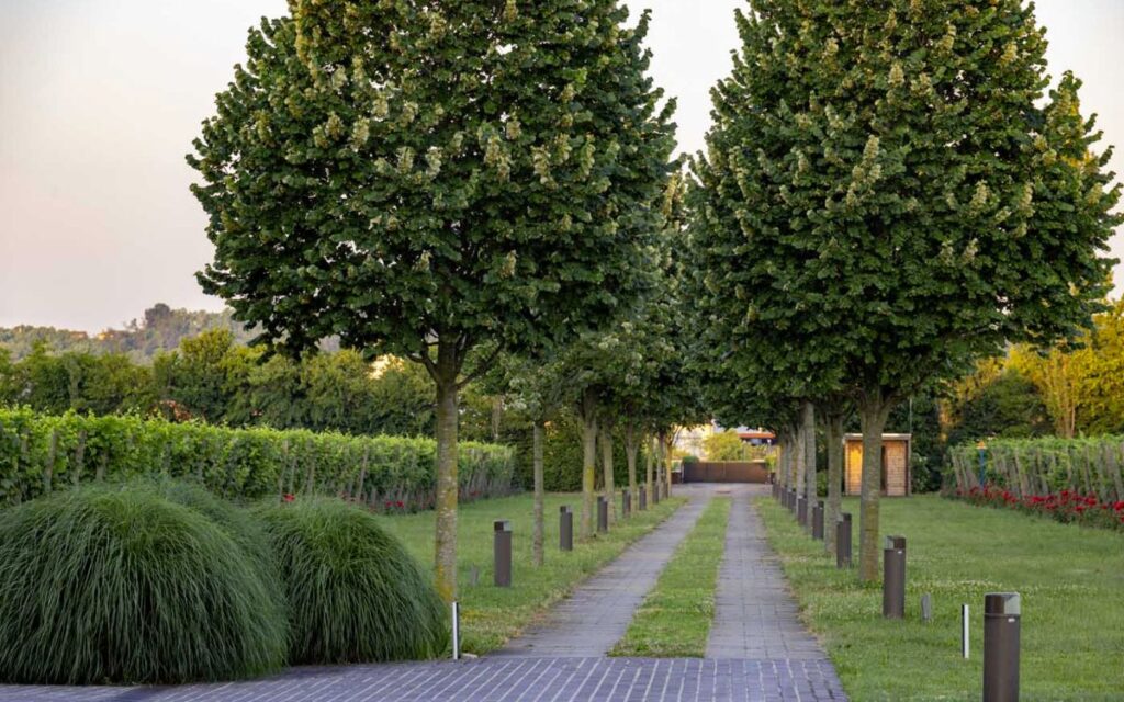Un casale circondato da un giardino fiorito: un’oasi di serenità che trabocca di bellezza per 12 mesi all’anno