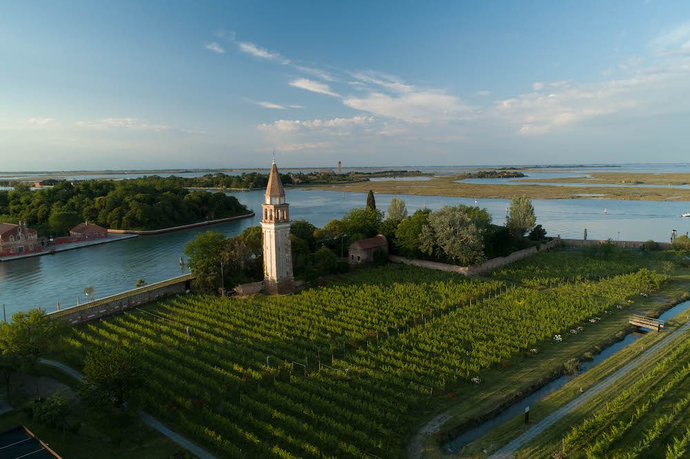 Se cerchi dove dormire a Venezia e dintorni, l'isola di Mazzrbo e il progetto di recupero "Venissa" può essere la soluzione per te.