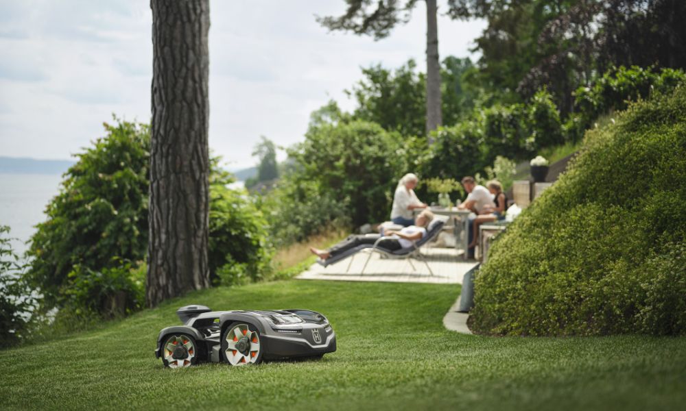 Un giardino dall'andamento complesso fa preferire il taglio irregolare ol taglio sistematico