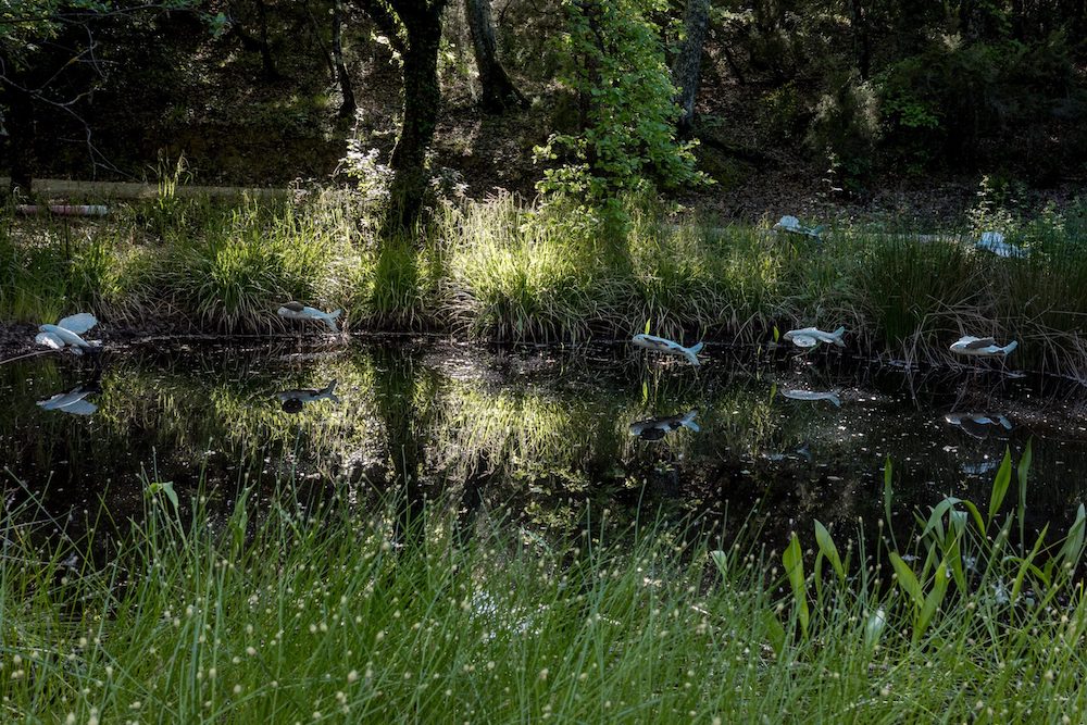 Al Parco Sculture del Chianti, la mostra Mìmesis di Natasha Ghini è visitabile fino al 2 novembre 2025.