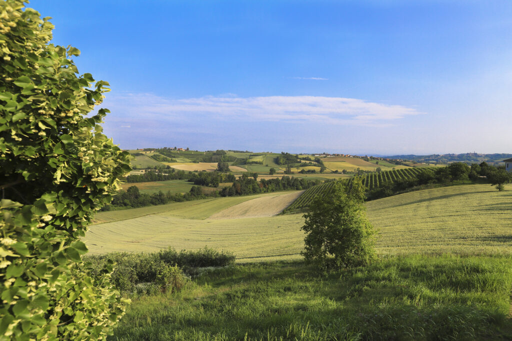 Dimore di pregio in Monferrato