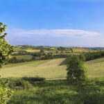 Dimore di pregio in Monferrato