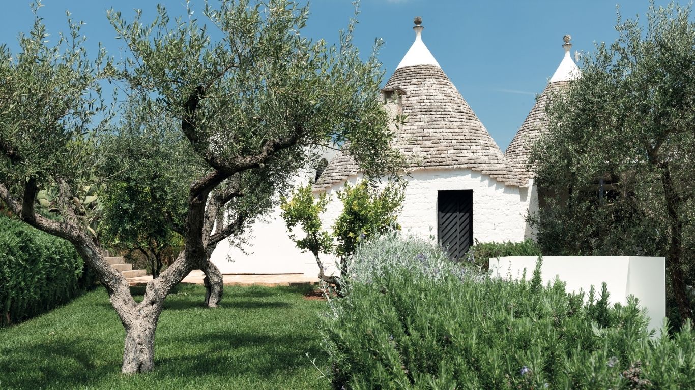 È ombreggiato dalle fronde degli ulivi il trullo con piscina in Puglia di Paolo Verde e Sonia Cocozza.