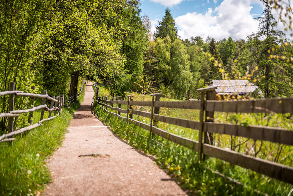 Sull'Altopiano del Renon, uno scorcio della Freud Promenade, la passeggiata di Freud che collega i paesi di Collalbo e Soprabolzano.