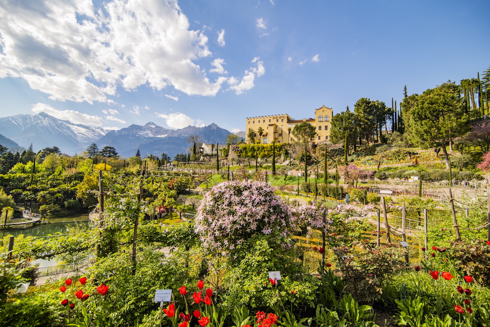 Nel 2026 il giardino di Sissi, ovvero il parco di Castel Trauttmansdorff, festeggia un quarto di secolo. Foto di Karlheinz Sollbauer.
