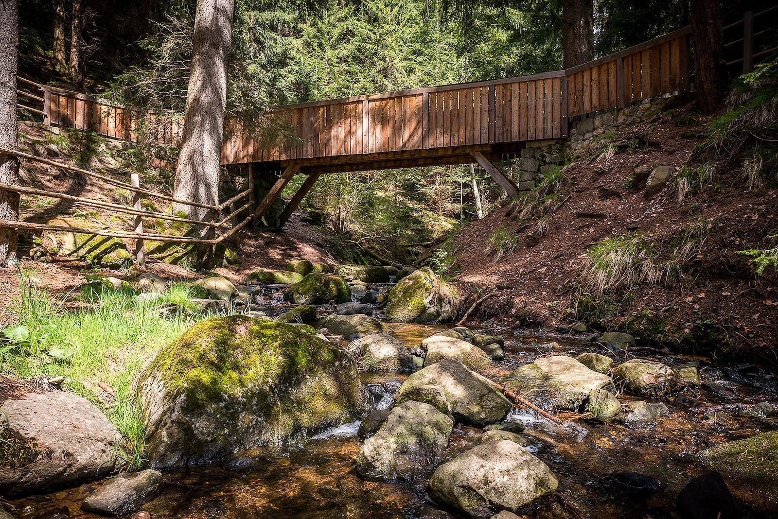Altopiano del Renon: in uno dei punti immersi nel bosco della passeggiata di Freud si sorpassa un torrente attraverso un ponte di legno.